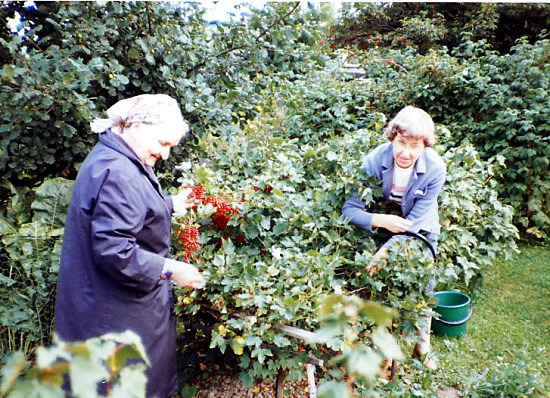 /><figcaption class=wp-element-caption