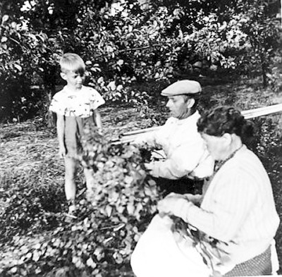 /><figcaption class=wp-element-caption