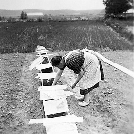 /><figcaption class=wp-element-caption