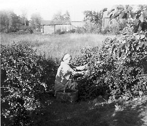 /><figcaption class=wp-element-caption