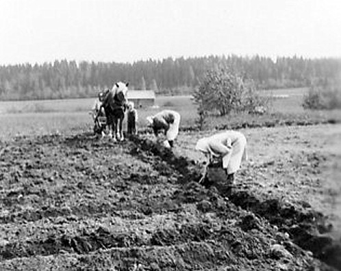 /><figcaption class=wp-element-caption