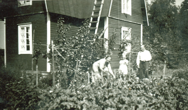 /><figcaption class=wp-element-caption