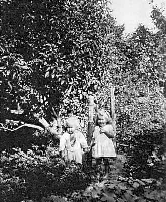 /><figcaption class=wp-element-caption