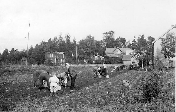 /><figcaption class=wp-element-caption