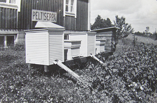 /><figcaption class=wp-element-caption