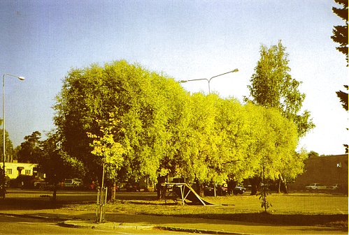 /><figcaption class=wp-element-caption