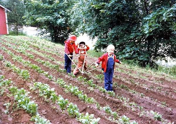 /><figcaption class=wp-element-caption