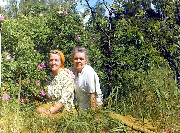 /><figcaption class=wp-element-caption