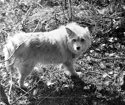 /><figcaption class=wp-element-caption