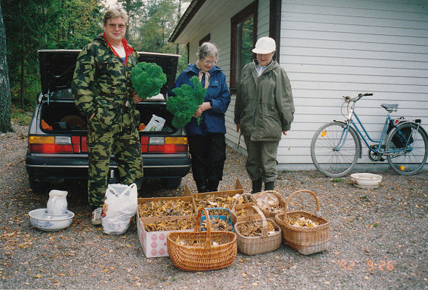 /><figcaption class=wp-element-caption