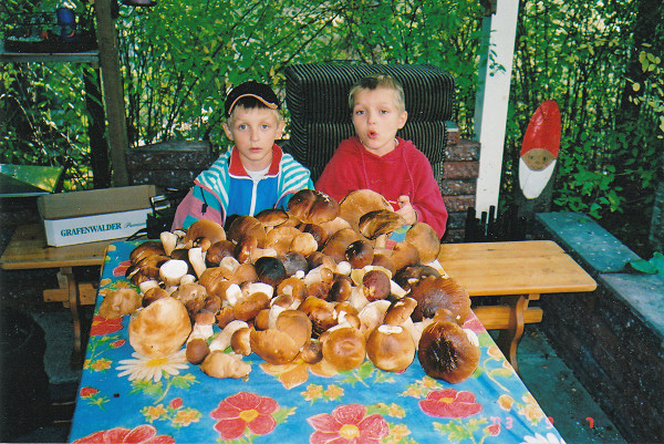 /><figcaption class=wp-element-caption