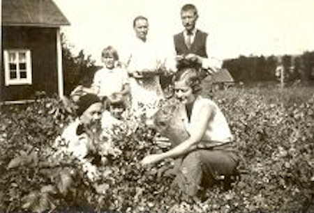 /><figcaption class=wp-element-caption